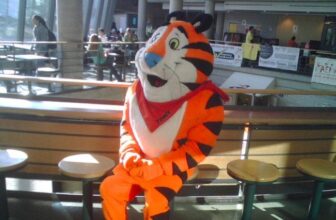 The Myths & Details of Intermittent Fasting